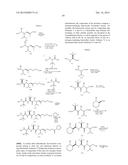 HEMIASTERLIN DERIVATIVES AND USES THEREOF IN THE TREATMENT OF CANCER diagram and image