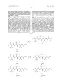 HEMIASTERLIN DERIVATIVES AND USES THEREOF IN THE TREATMENT OF CANCER diagram and image