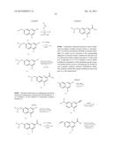 QUINOLINE CARBOXAMIDE AND QUINOLINE CARBONITRILE DERIVATIVES AS     mGluR2-NEGATIVE ALLOSTERIC MODULATORS, COMPOSITIONS, AND THEIR USE diagram and image