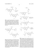 QUINOLINE CARBOXAMIDE AND QUINOLINE CARBONITRILE DERIVATIVES AS     mGluR2-NEGATIVE ALLOSTERIC MODULATORS, COMPOSITIONS, AND THEIR USE diagram and image