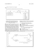 COMPOUNDS AND METHODS OF TREATING OBESITY diagram and image