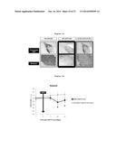 ANTIEPILEPTIC, HYPOCHOLESTEROLEMIC AND NEUROPROTECTIVE COMPOUND diagram and image