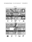 ANTIEPILEPTIC, HYPOCHOLESTEROLEMIC AND NEUROPROTECTIVE COMPOUND diagram and image