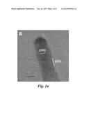 Self-Healing Catalysts: CO3O4 Nanorods for Fischer-Tropsch Synthesis diagram and image