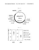 METHOD OF PRODUCING HETEROGENEOUS PROTEIN diagram and image