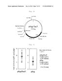 METHOD OF PRODUCING HETEROGENEOUS PROTEIN diagram and image