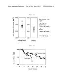 METHOD OF PRODUCING HETEROGENEOUS PROTEIN diagram and image