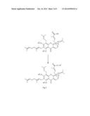 Gambogenic Acid Derivatives, Preparation Method and Application Thereof diagram and image