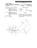 POSITIONING TOOL FOR ANASTOMOSIS diagram and image