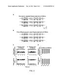 System for Optical Stimulation of Target Cells diagram and image