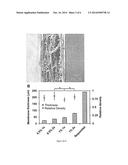 Membrane-Scaffold Composites for Tissue Engineering Applications diagram and image