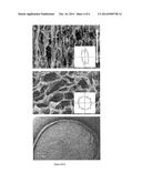 Membrane-Scaffold Composites for Tissue Engineering Applications diagram and image