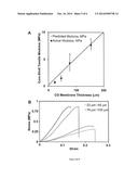 Membrane-Scaffold Composites for Tissue Engineering Applications diagram and image