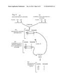 OPTIMIZED AND HIGH THROUGHPUT COMPARISON AND ANALYTICS OF LARGE SETS OF     GENOME DATA diagram and image