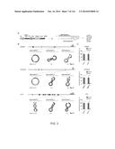 CRISPR-Cas Nickase Systems, Methods And Compositions For Sequence     Manipulation in Eukaryotes diagram and image