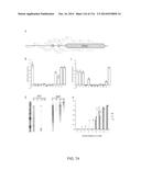 CRISPR-Cas Nickase Systems, Methods And Compositions For Sequence     Manipulation in Eukaryotes diagram and image