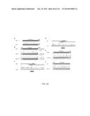 CRISPR-Cas Nickase Systems, Methods And Compositions For Sequence     Manipulation in Eukaryotes diagram and image