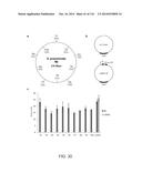 CRISPR-Cas Nickase Systems, Methods And Compositions For Sequence     Manipulation in Eukaryotes diagram and image