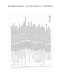 CRISPR-Cas Nickase Systems, Methods And Compositions For Sequence     Manipulation in Eukaryotes diagram and image