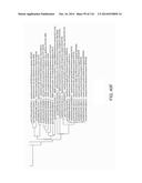 CRISPR-Cas Nickase Systems, Methods And Compositions For Sequence     Manipulation in Eukaryotes diagram and image