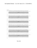 CRISPR-Cas Nickase Systems, Methods And Compositions For Sequence     Manipulation in Eukaryotes diagram and image