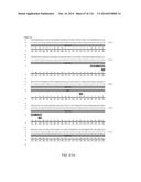 CRISPR-Cas Nickase Systems, Methods And Compositions For Sequence     Manipulation in Eukaryotes diagram and image