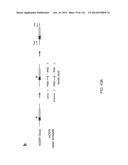 CRISPR-Cas Nickase Systems, Methods And Compositions For Sequence     Manipulation in Eukaryotes diagram and image