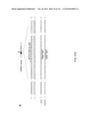 CRISPR-Cas Nickase Systems, Methods And Compositions For Sequence     Manipulation in Eukaryotes diagram and image