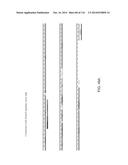 CRISPR-Cas Nickase Systems, Methods And Compositions For Sequence     Manipulation in Eukaryotes diagram and image