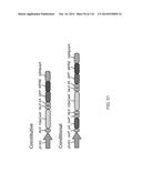 CRISPR-Cas Nickase Systems, Methods And Compositions For Sequence     Manipulation in Eukaryotes diagram and image