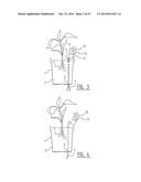 Plant Containment System Having Two-Position Valve diagram and image