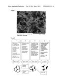 POROUS ALPHA-SIC-CONTAINING SHAPED BODY HAVING A CONTIGUOUS OPEN PORE     STRUCTURE diagram and image