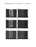 POROUS ALPHA-SIC-CONTAINING SHAPED BODY HAVING A CONTIGUOUS OPEN PORE     STRUCTURE diagram and image