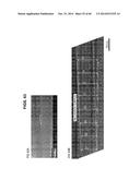 MANUFACTURING METHOD OF ORGANIC SEMICONDUCTOR ELEMENT, ORGANIC     SEMICONDUCTOR ELEMENT, GROWTH METHOD OF ORGANIC SINGLE CRYSTAL THIN FILM,     ORGANIC SINGLE CRYSTAL THIN FILM, ELECTRONIC DEVICE, AND ORGANIC SINGLE     CRYSTAL THIN FILM GROUP diagram and image