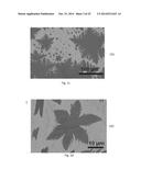 Vapor-Trapping Growth of Single-Crystalline Graphene Flowers diagram and image