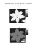 Vapor-Trapping Growth of Single-Crystalline Graphene Flowers diagram and image