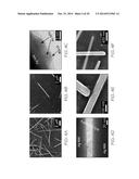 GRAPHENE/METAL NANOWIRE HYBRID TRANSPARENT CONDUCTIVE FILMS diagram and image