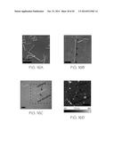 GRAPHENE/METAL NANOWIRE HYBRID TRANSPARENT CONDUCTIVE FILMS diagram and image