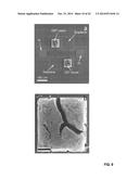 GRAPHENE-CARBON NANOTUBE HYBRID MATERIALS AND USE AS ELECTRODES diagram and image