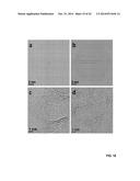 GRAPHENE-CARBON NANOTUBE HYBRID MATERIALS AND USE AS ELECTRODES diagram and image