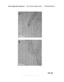 GRAPHENE-CARBON NANOTUBE HYBRID MATERIALS AND USE AS ELECTRODES diagram and image