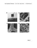 GRAPHENE-CARBON NANOTUBE HYBRID MATERIALS AND USE AS ELECTRODES diagram and image