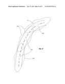 ANNULUS SHAPED LUMINAIRE diagram and image