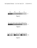 METHODS FOR ROBUST WIRELESS COMMUNICATION FOR NODES LOCATED IN VEHICLES diagram and image