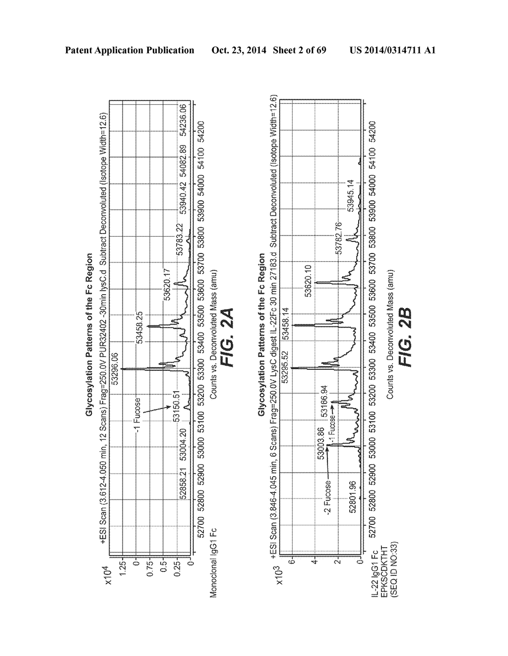 IL-22 POLYPEPTIDES AND IL-22 Fc FUSION PROTEINS AND METHODS OF USE - diagram, schematic, and image 03