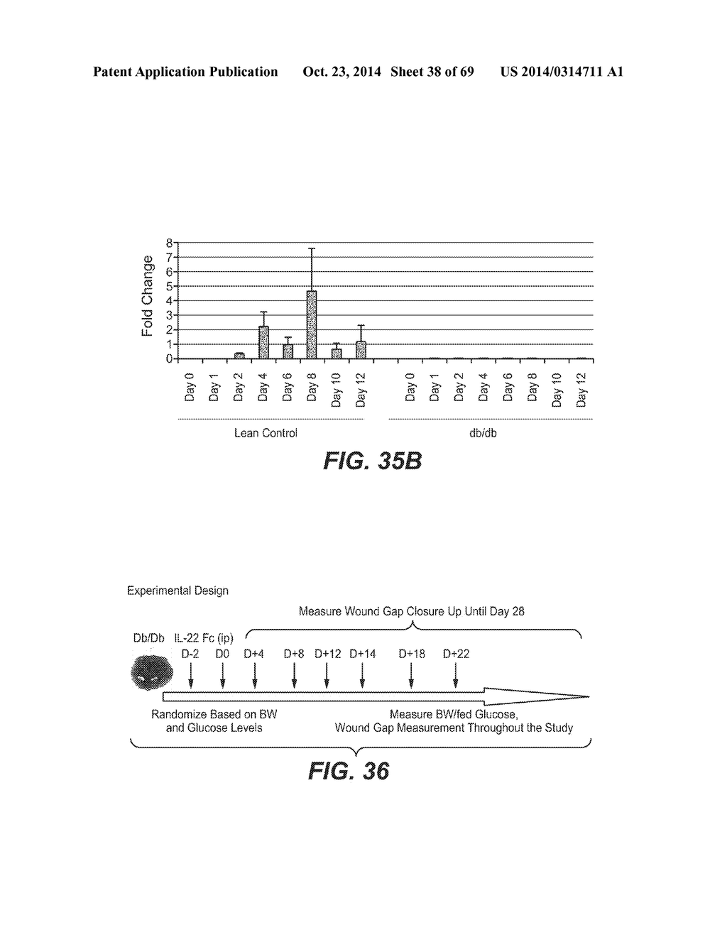 IL-22 POLYPEPTIDES AND IL-22 Fc FUSION PROTEINS AND METHODS OF USE - diagram, schematic, and image 39