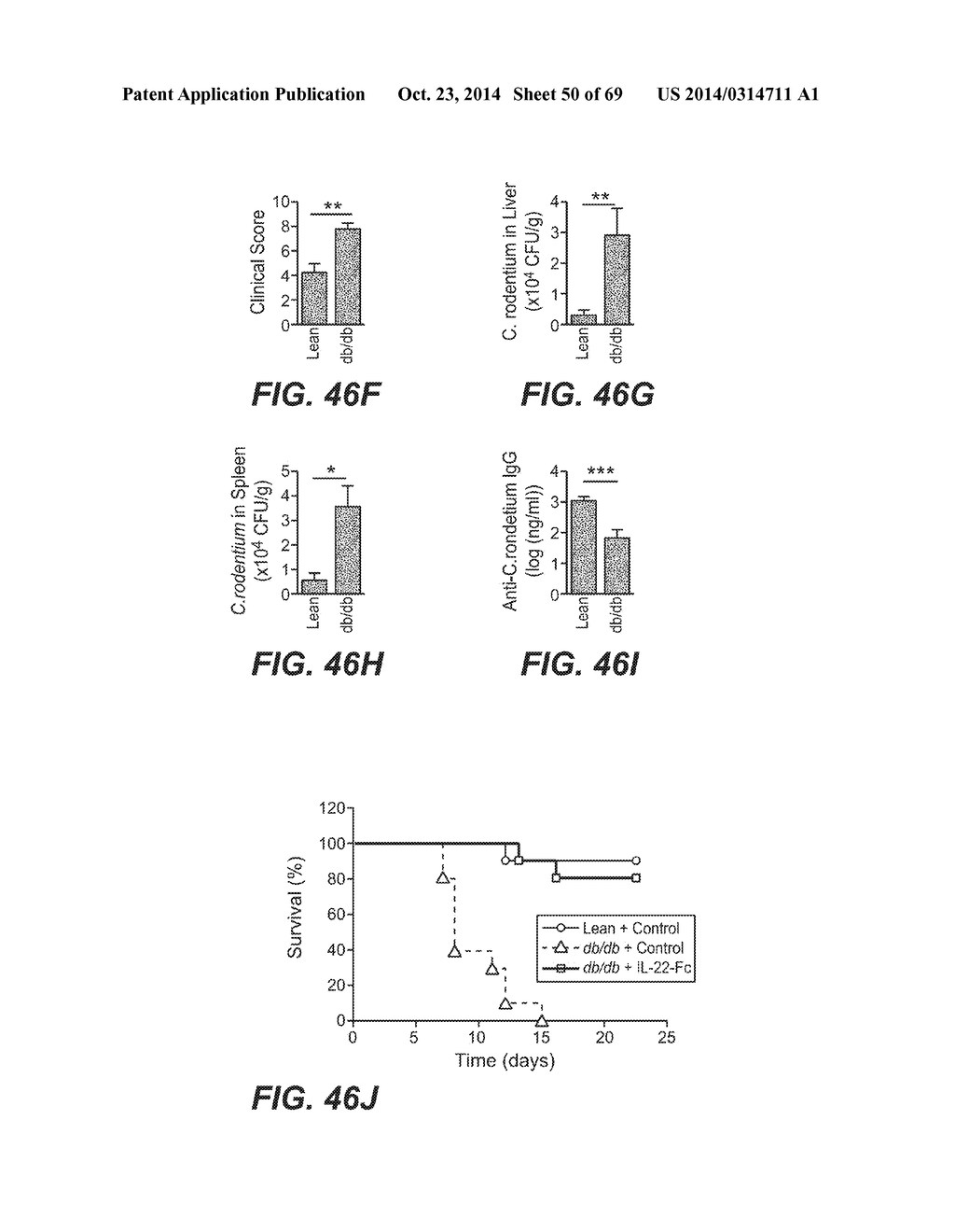 IL-22 POLYPEPTIDES AND IL-22 Fc FUSION PROTEINS AND METHODS OF USE - diagram, schematic, and image 51