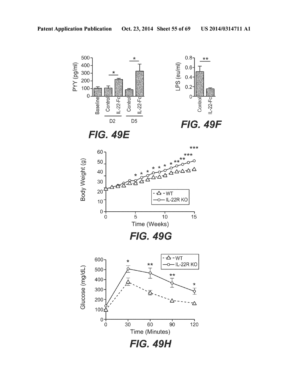 IL-22 POLYPEPTIDES AND IL-22 Fc FUSION PROTEINS AND METHODS OF USE - diagram, schematic, and image 56