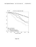 Six-Gene Biomarker of Survival and Response to Platinum Based Chemotherapy     in Serious Ovarian Cancer Patients diagram and image