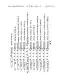 SERINE PROTEASE MOLECULES AND THERAPIES diagram and image